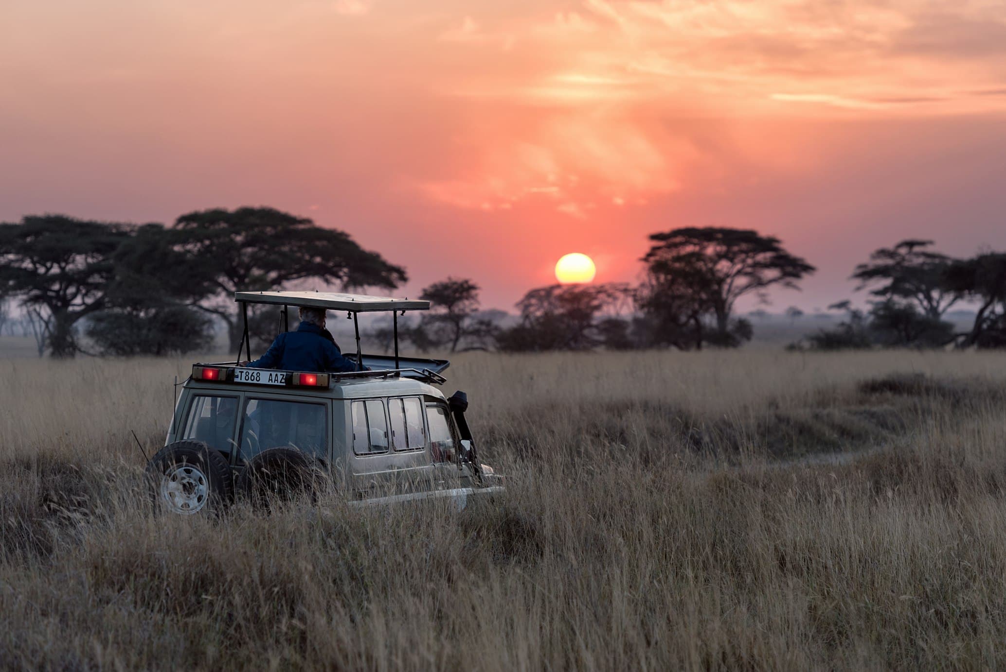 African safari landscape at golden hour